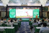 Affirming the Position of Vietnam’s Flower and Ornamental Plant Industry on the International Arena