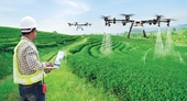 Vietnamese Agriculture in the New Era