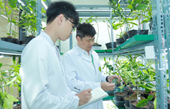 Vietnam National University of Agriculture Training experts with “Green thinking and digital skills”