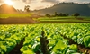 The aspiration for double-digit growth From international lessons to the need for a new development mindset in Vietnam
